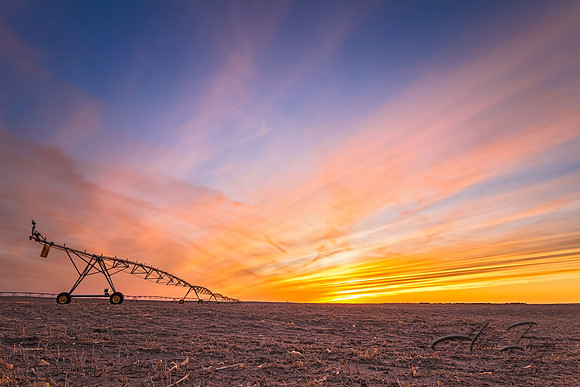 Irrigation V