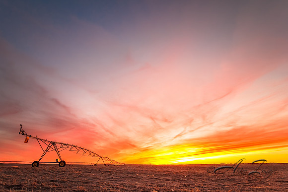 Irrigation III