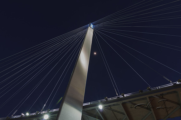 Bob Kerry Pedestrian Bridge