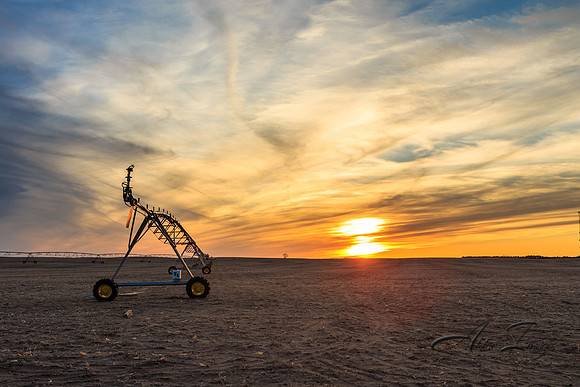 Irrigation IX