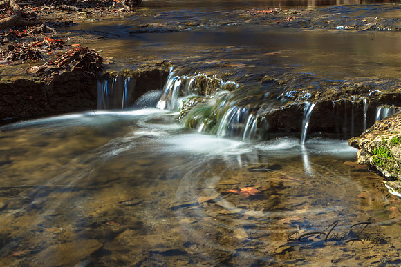 Spring at Platte River Falls