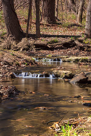 Spring at Platte River Falls