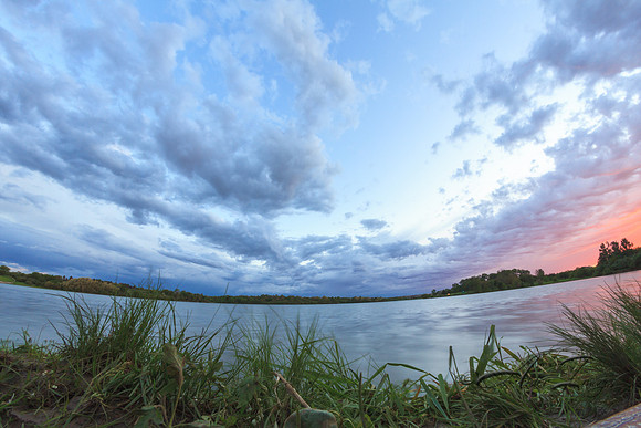 Fishy's View