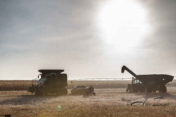 Harvest