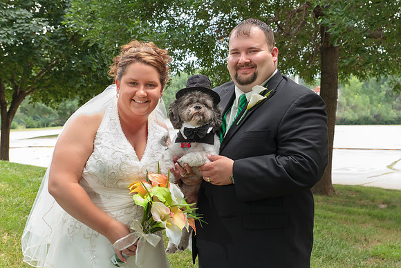 Weddings D&V