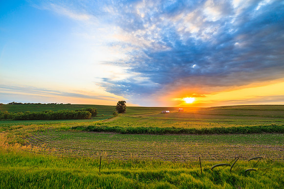 Farmer's Sunset