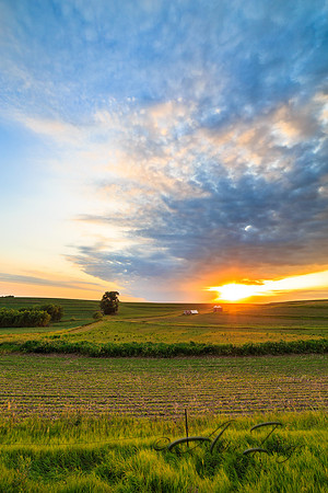 Farmer's Sunset II