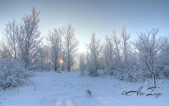 Frosty Beginning