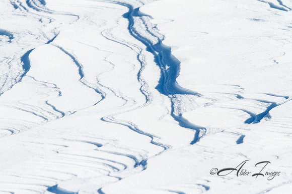 Snow Patterns