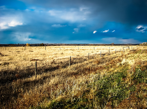 Fence Line