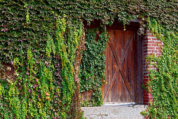 Red Door