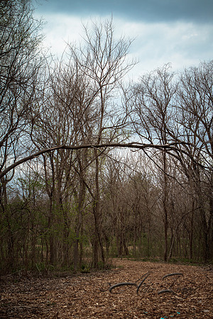 Hidden Path
