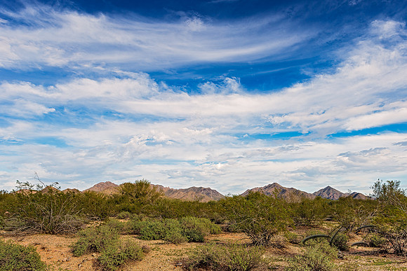 Arizona Skies