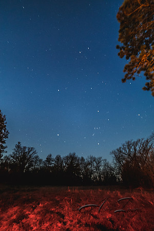 Dead Timber's Night