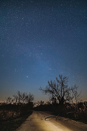 Dead Timber's Night