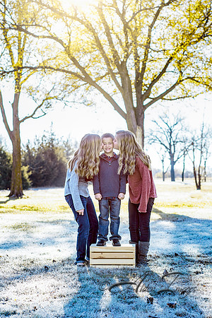 Alder Family