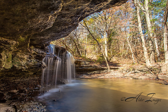 Spring at Platte River Falls