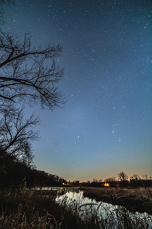 Dead Timber's Night