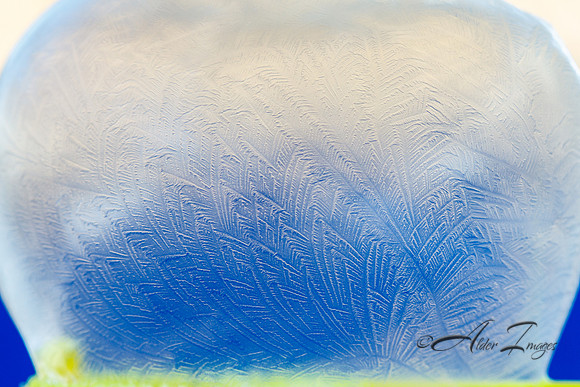 Frozen Bubbles