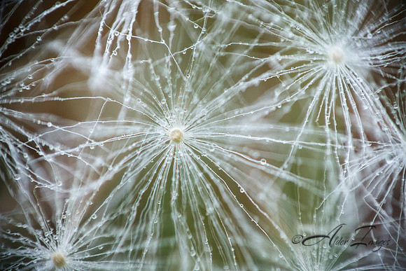 Reaching Out