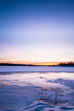 Blue Evening