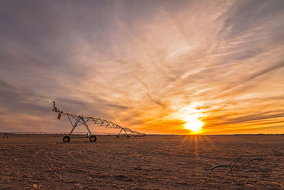 Irrigation VII