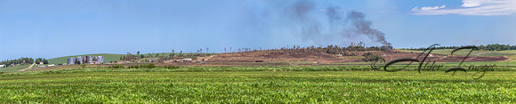 Pilger