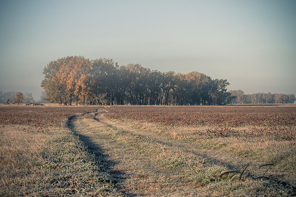 Trails End