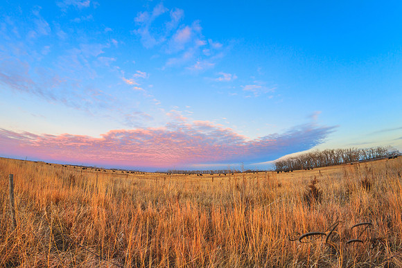 Pink Clouds