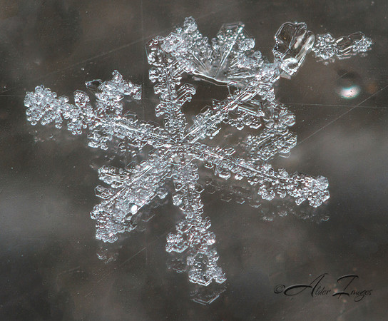 Snowflake