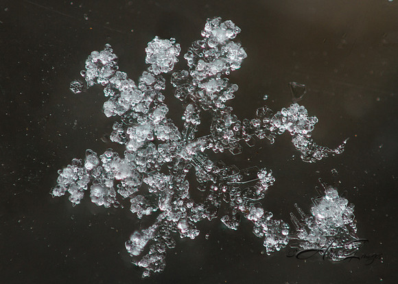 Snowflake