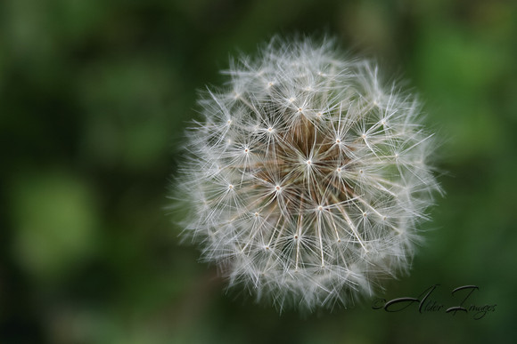 Fading
