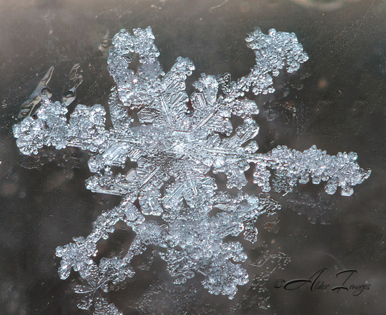 Snowflake