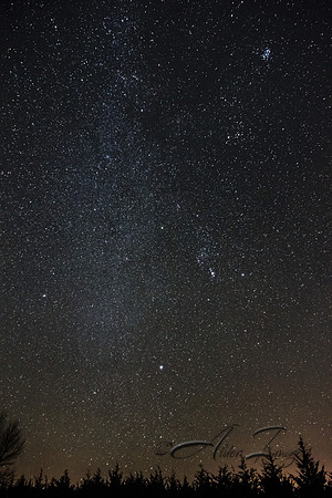 Starry Night