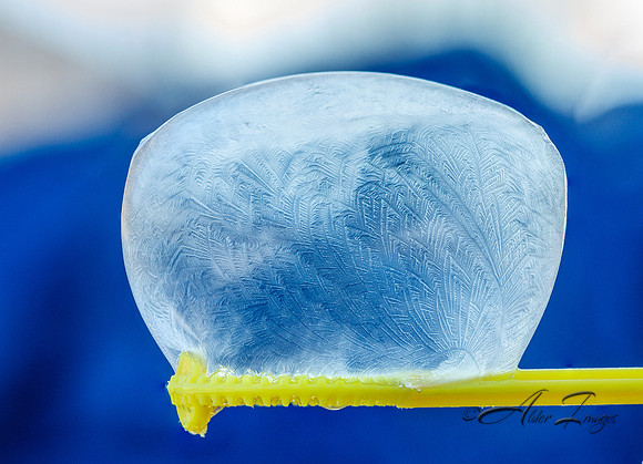Frozen Bubbles